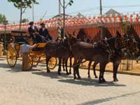 Feria de Abril, Seville