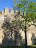 castillo-el-coronil15